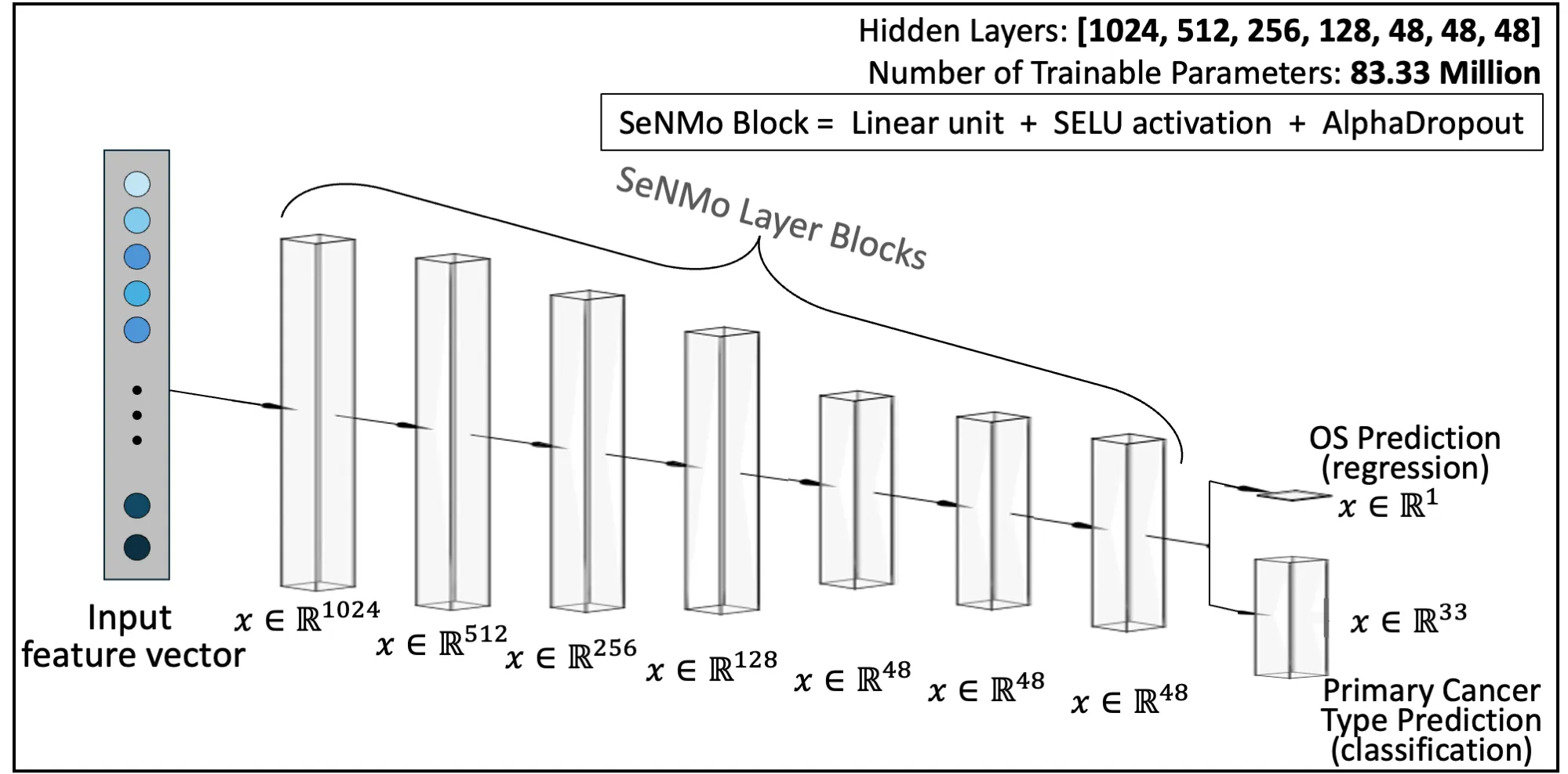 Diagram of an input feature vector feeding seven SeNMo layer blocks of decreasing size (1024, 512, 256, 128, 48, 48, 48 dimensions), branching into a one-dimensional overall survival output and a 33-dimensional primary cancer type output. A box notes that each block is a linear unit plus SELU activation plus AlphaDropout.