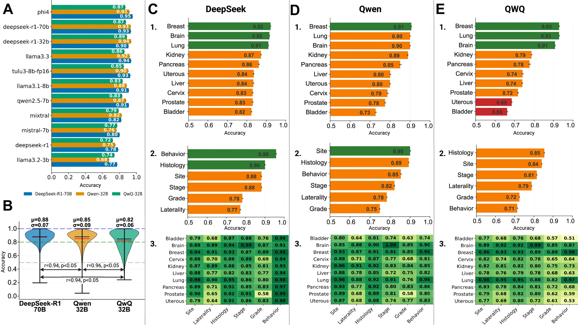Multi-panel results figure. Panel A: grouped horizontal bars of accuracy for eleven extractor models scored by three evaluators, with phi4, deepseek-r1-70b, deepseek-r1-32b and llama3.3 at the top and llama3.2-3b at the bottom. Panel B: violin plots of evaluator scores, means 0.88 for DeepSeek-R1 70B, 0.85 for Qwen 32B and 0.82 for QwQ 32B, with pairwise correlations of 0.94 to 0.96. Panels C to E, one column per evaluator: bar charts of accuracy by organ and by variable, and heatmaps of accuracy for ten organs by six variables.