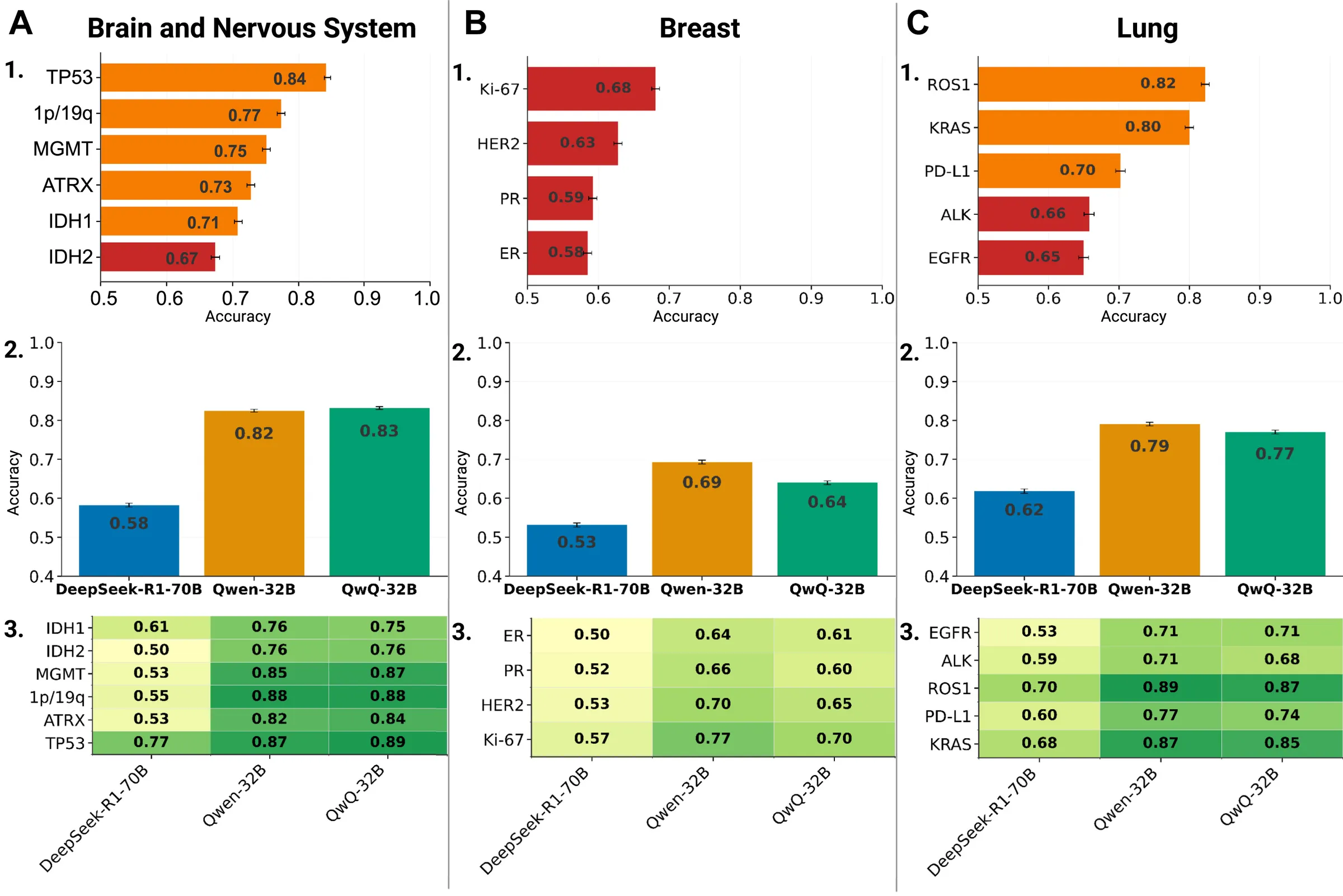 Three-column figure for brain and nervous system, breast, and lung biomarkers. Top row: horizontal accuracy bars, brain from TP53 0.84 to IDH2 0.67, breast from Ki-67 0.68 to ER 0.58, lung from ROS1 0.82 to EGFR 0.65. Middle row: mean score per evaluator, with DeepSeek-R1-70B lowest in every organ (0.58, 0.53, 0.62) and Qwen-32B and QwQ-32B higher. Bottom row: heatmaps of each biomarker by evaluator.