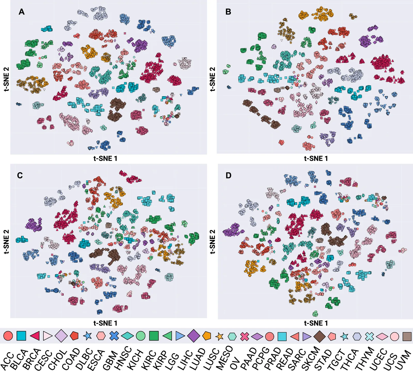 Four t-SNE scatter plots labeled A to D, one per language model, with thousands of patient points colored and shaped by 33 TCGA cancer types (legend from ACC to UVM along the bottom). Most cancer types form compact, well-separated clusters, most cleanly in panel B (Qwen3).