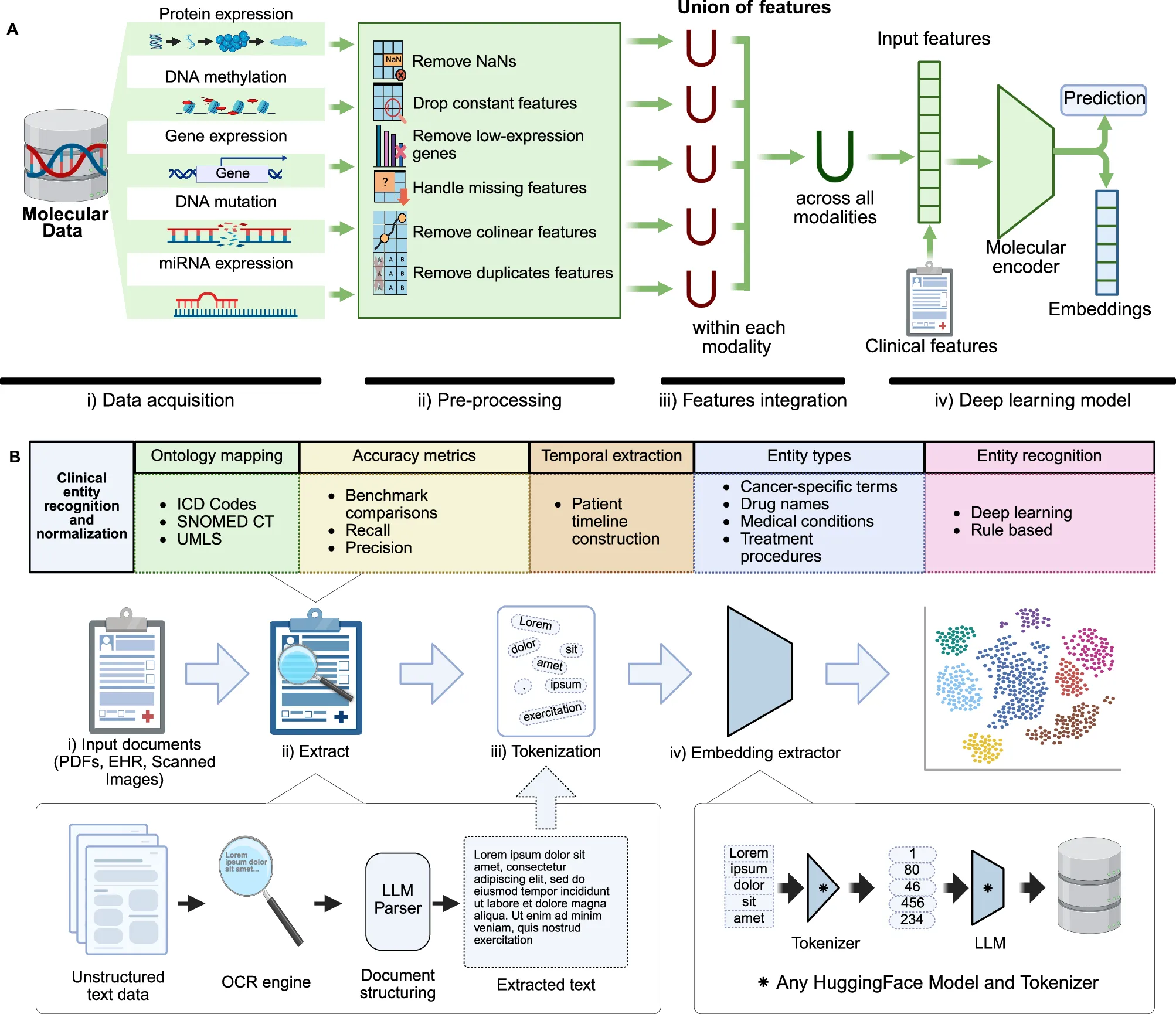 Two-panel diagram. Top: five molecular data types (protein expression, DNA methylation, gene expression, DNA mutation, miRNA expression) pass through preprocessing steps (remove NaNs, drop constant features, remove low-expression genes, handle missing features, remove collinear and duplicate features), a union of features within and across modalities, and a molecular encoder that combines them with clinical features to output embeddings and predictions. Bottom: clinical input documents are extracted with an OCR engine and an LLM parser, tokenized, and embedded by any Hugging Face model and tokenizer, with a header listing ontology mapping, accuracy metrics, temporal extraction, entity types and entity recognition.