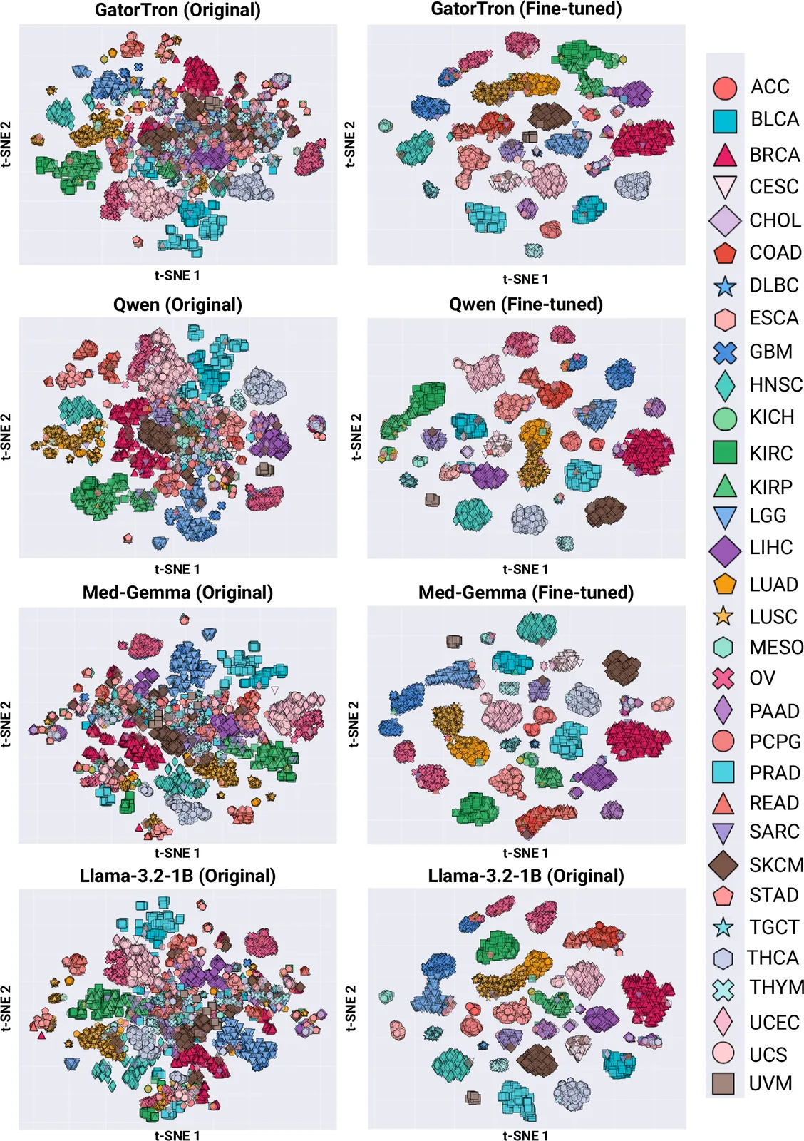 Eight t-SNE scatter plots in four rows (GatorTron, Qwen, Med-Gemma, Llama-3.2-1B) and two columns, with a legend of 33 TCGA cancer types on the right. Points in the left column overlap heavily across cancer types; in the right column they form distinct, separated clusters.