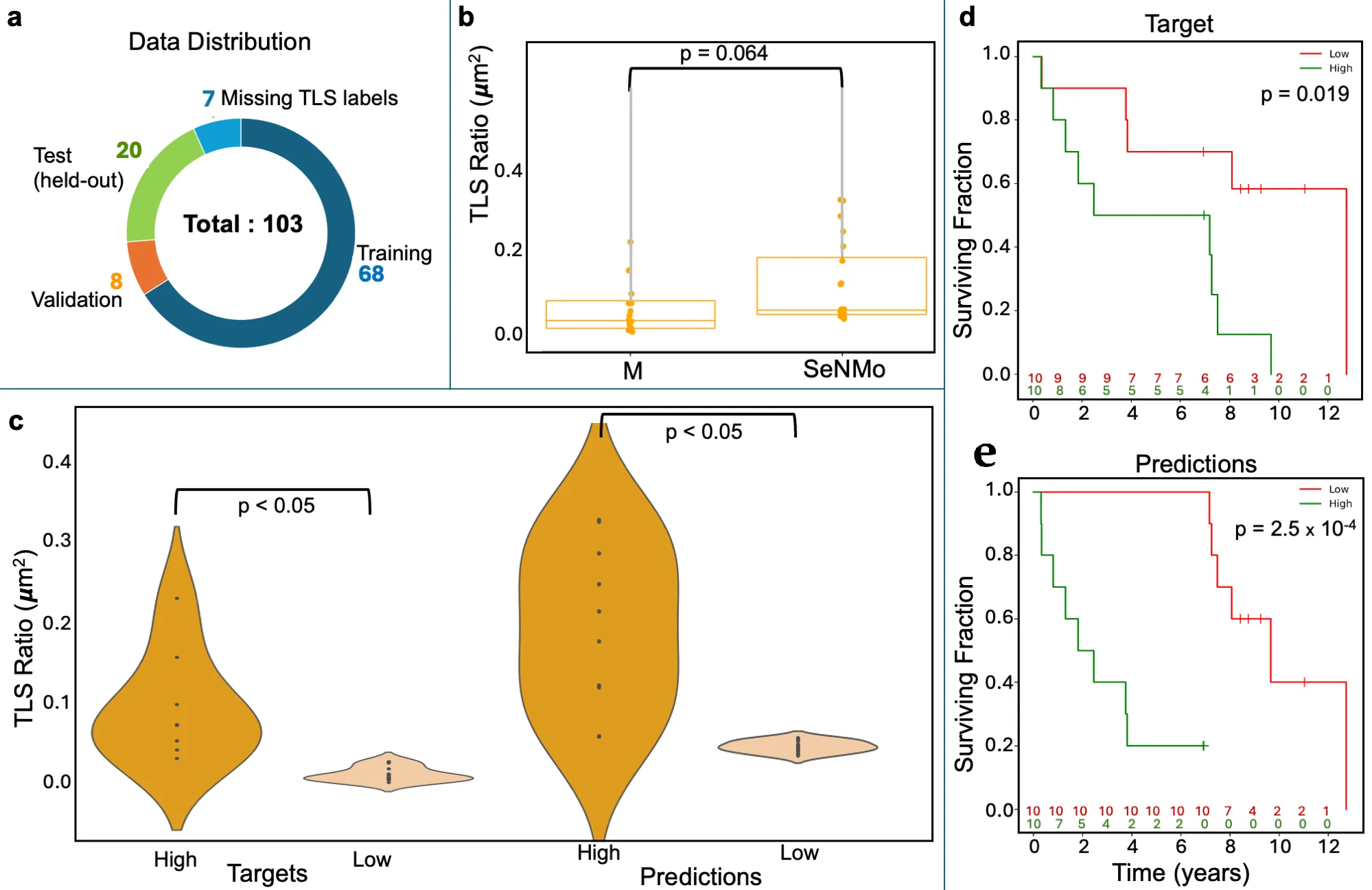 Multi-panel figure. A donut chart of 103 samples: 68 training, 8 validation, 20 held-out test and 7 missing TLS labels. A box plot comparing manual and SeNMo TLS ratios with p = 0.064. Violin plots of high and low TLS groups for targets and predictions. Two Kaplan-Meier plots of surviving fraction over 12 years for low and high TLS groups, labeled Target (p = 0.019) and Predictions (p = 2.5 × 10⁻⁴).