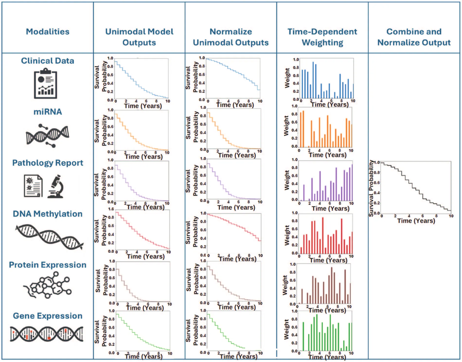 Five-column grid. Rows for clinical data, miRNA, pathology report, DNA methylation, protein expression and gene expression each show a unimodal survival curve, its normalized version and a bar chart of time-dependent weights over 10 years; the last column shows the single combined, normalized survival curve.